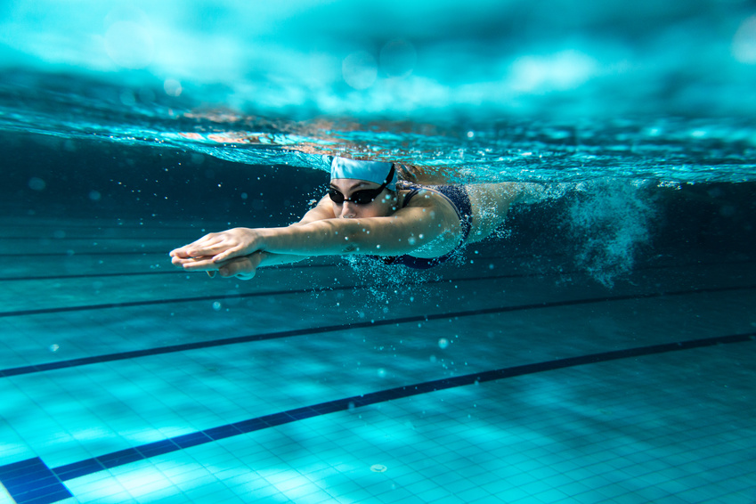 Réunion d’information sur les formations aux métiers de la natation