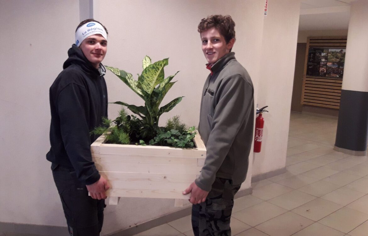 Nouvelles jardinières réalisées par les élèves de 1ère Pro