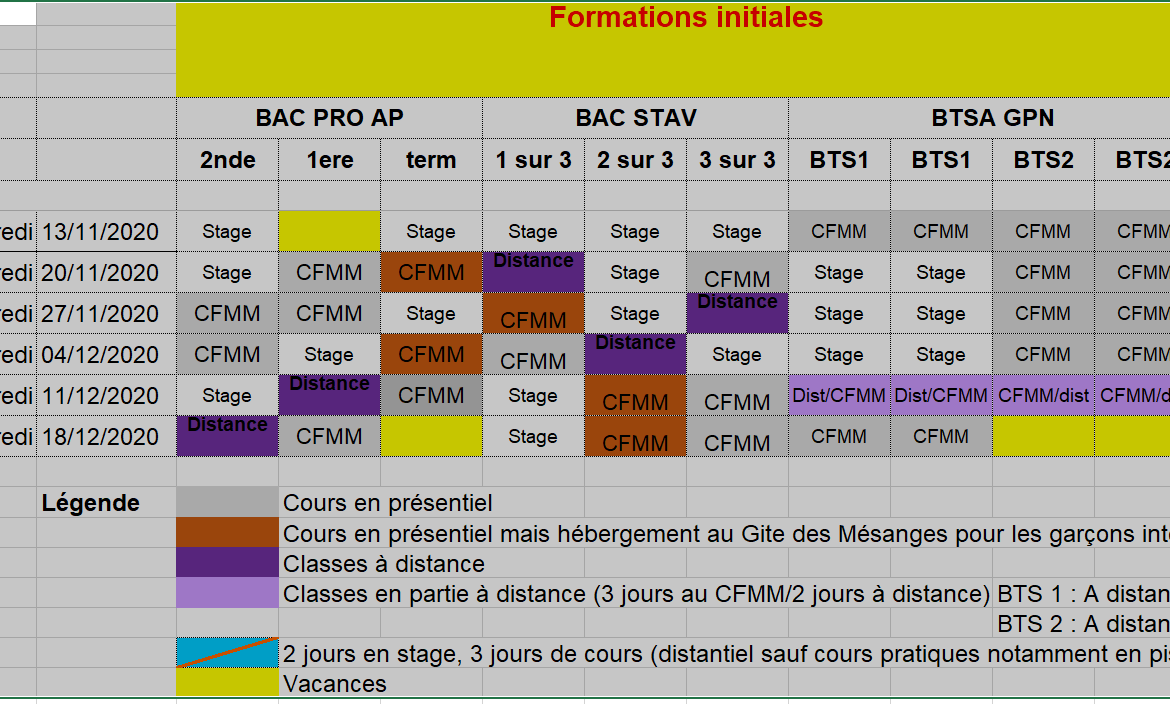 Plan de continuité pédagogique du CFMM pour les mois de novembre et décembre