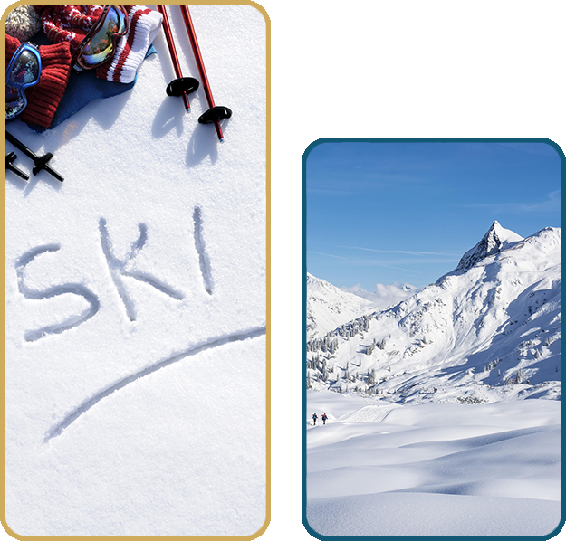 https://www.cfmm.fr/wp-content/uploads/2025/02/about_img_metier-moniteur-ski.png