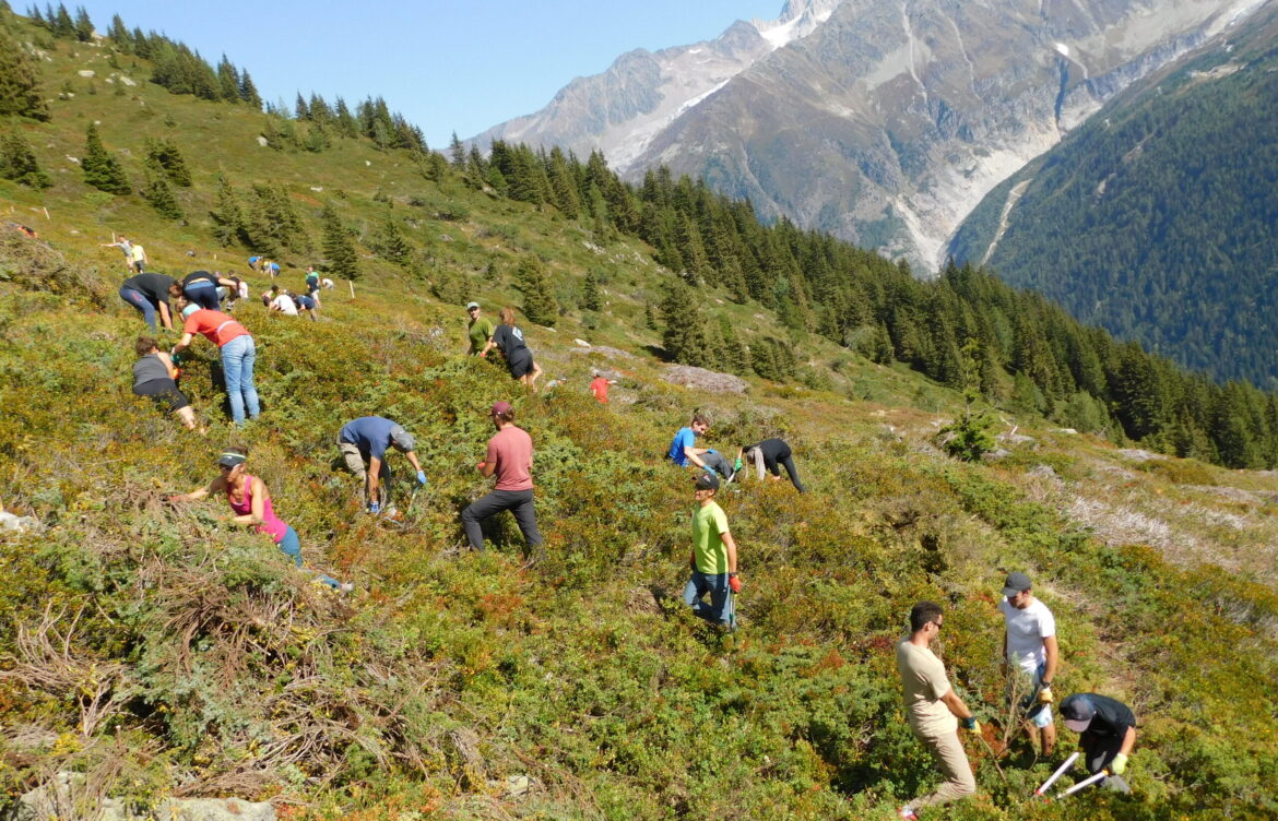 Chantier école pour les étudiants en BTSA Gestion et Protection de la Nature