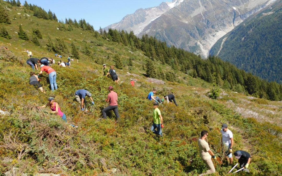 Chantier école pour les étudiants en BTSA Gestion et Protection de la Nature