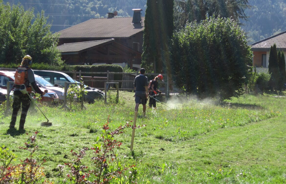 TP entretien des espaces verts par les élèves de 1ère Pro