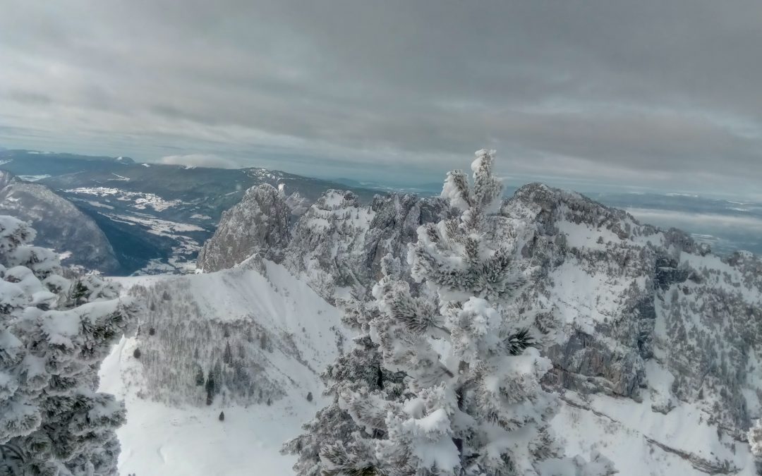 Ski de randonnée pour les étudiants de BTS 2ème année