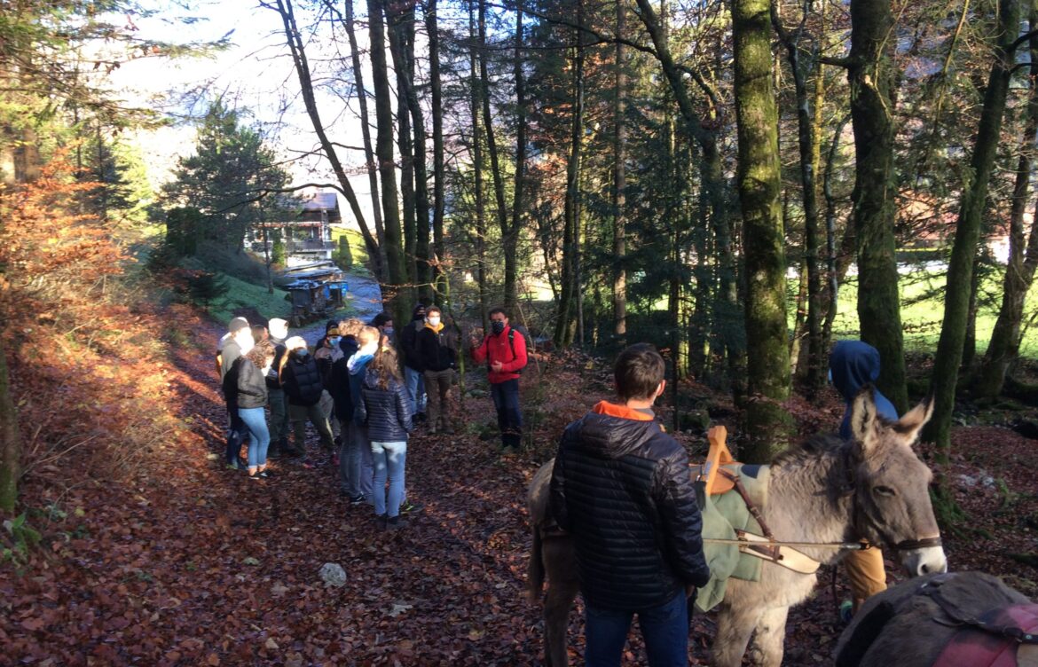Découverte de l’animation nature avec des ânes pour les étudiants de BTS GPN 1ère année