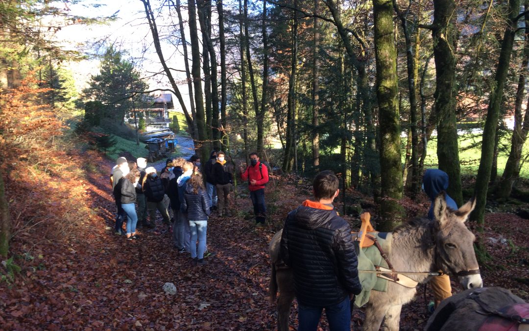 Découverte de l’animation nature avec des ânes pour les étudiants de BTS GPN 1ère année