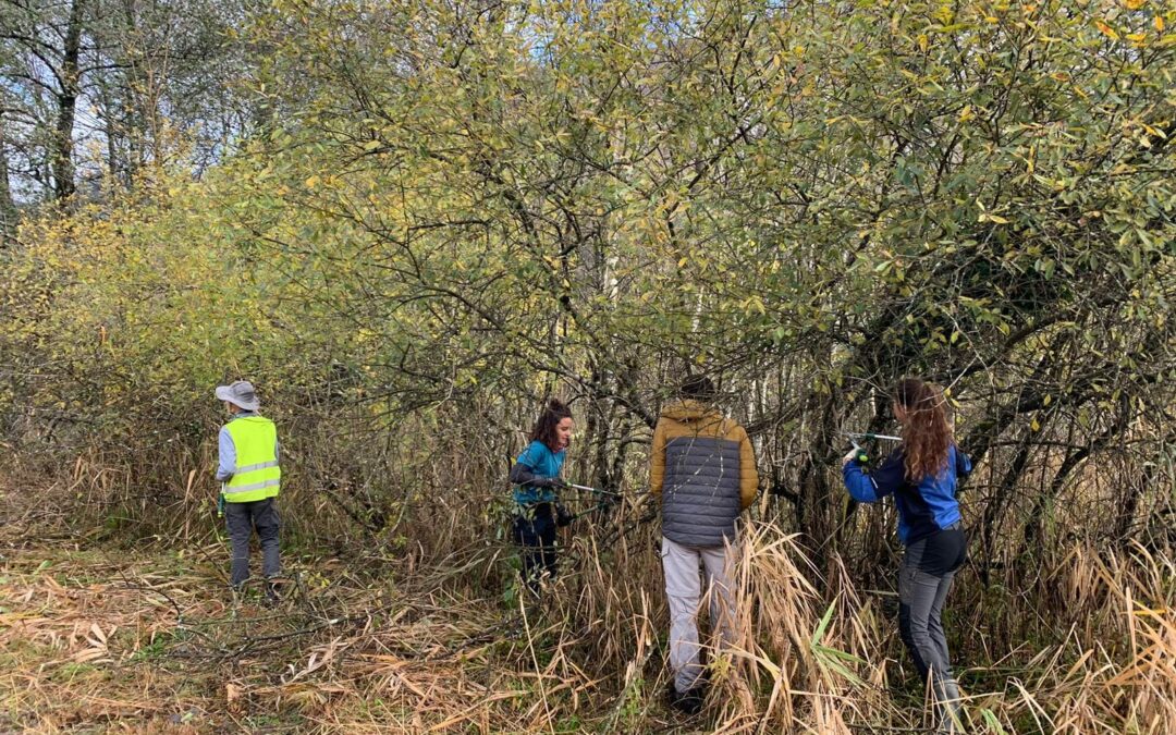 Un engagement écologique exemplaire : les BTS redonnent vie à la RNN du bout du lac