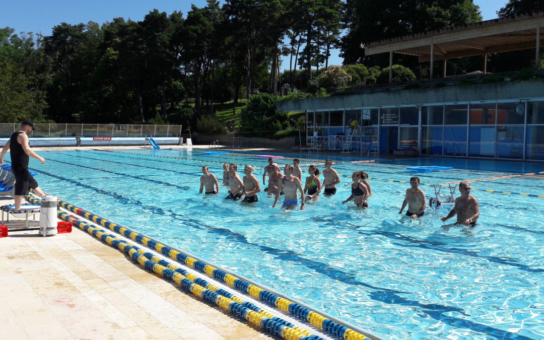 Démarrage de la formation BPJEPS AAN (Activités Aquatiques et de la Natation)