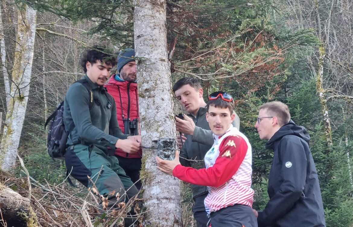 Un sentier pour découvrir la forêt du futur à Thônes