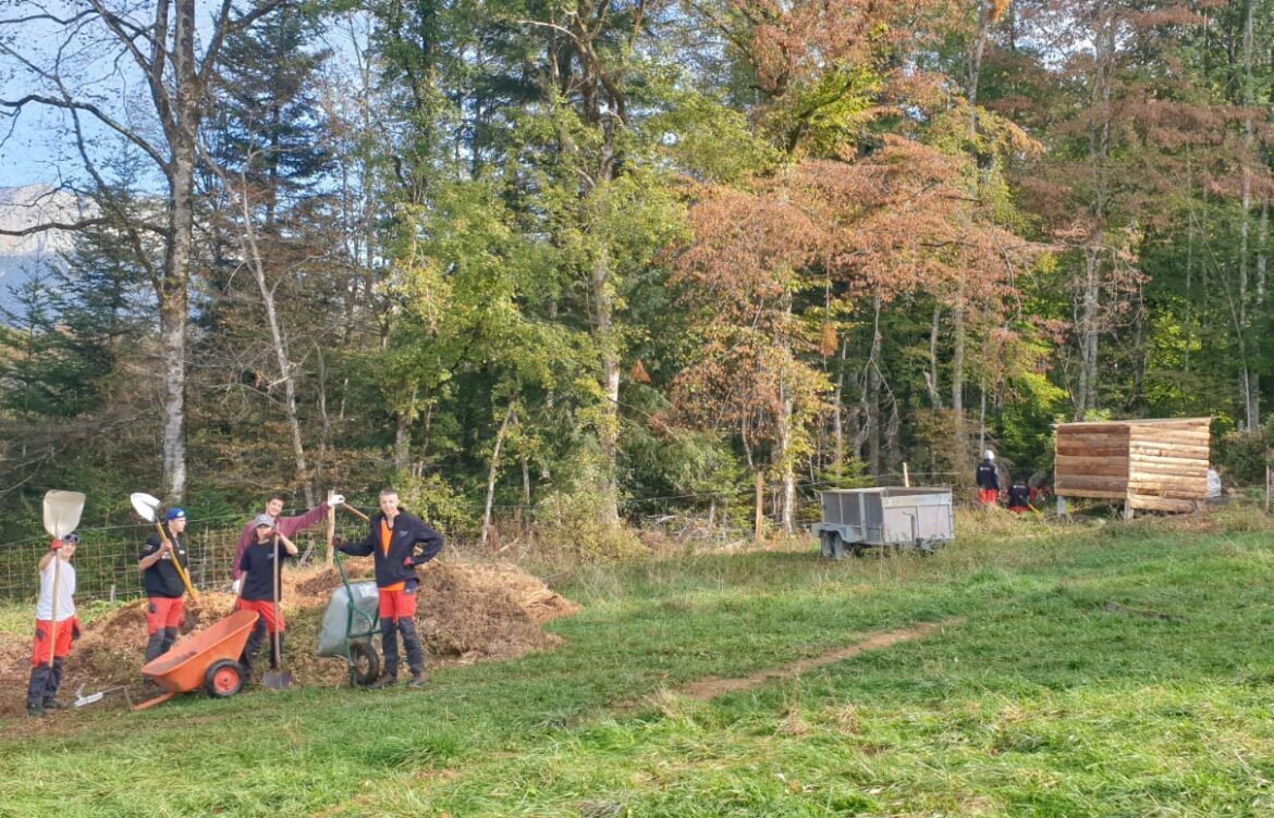 Une journée d’action au Château de Menthon : les 2nde Pro au travail
