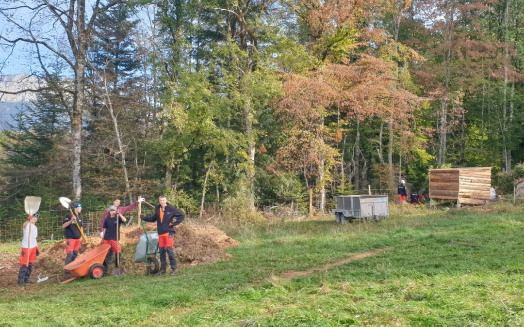 Une journée d’action au Château de Menthon : les 2nde Pro au travail