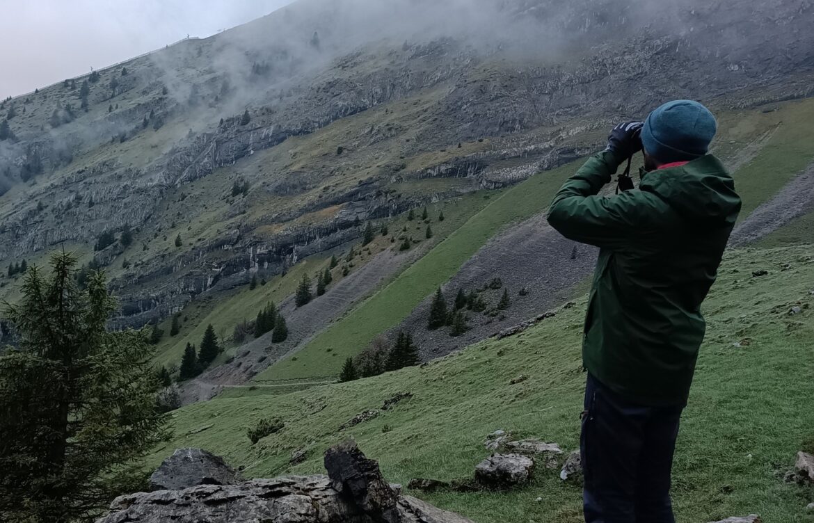 Comptage du Tétras Lyre : les BTS GPN en mission sur le terrain dans les Aravis